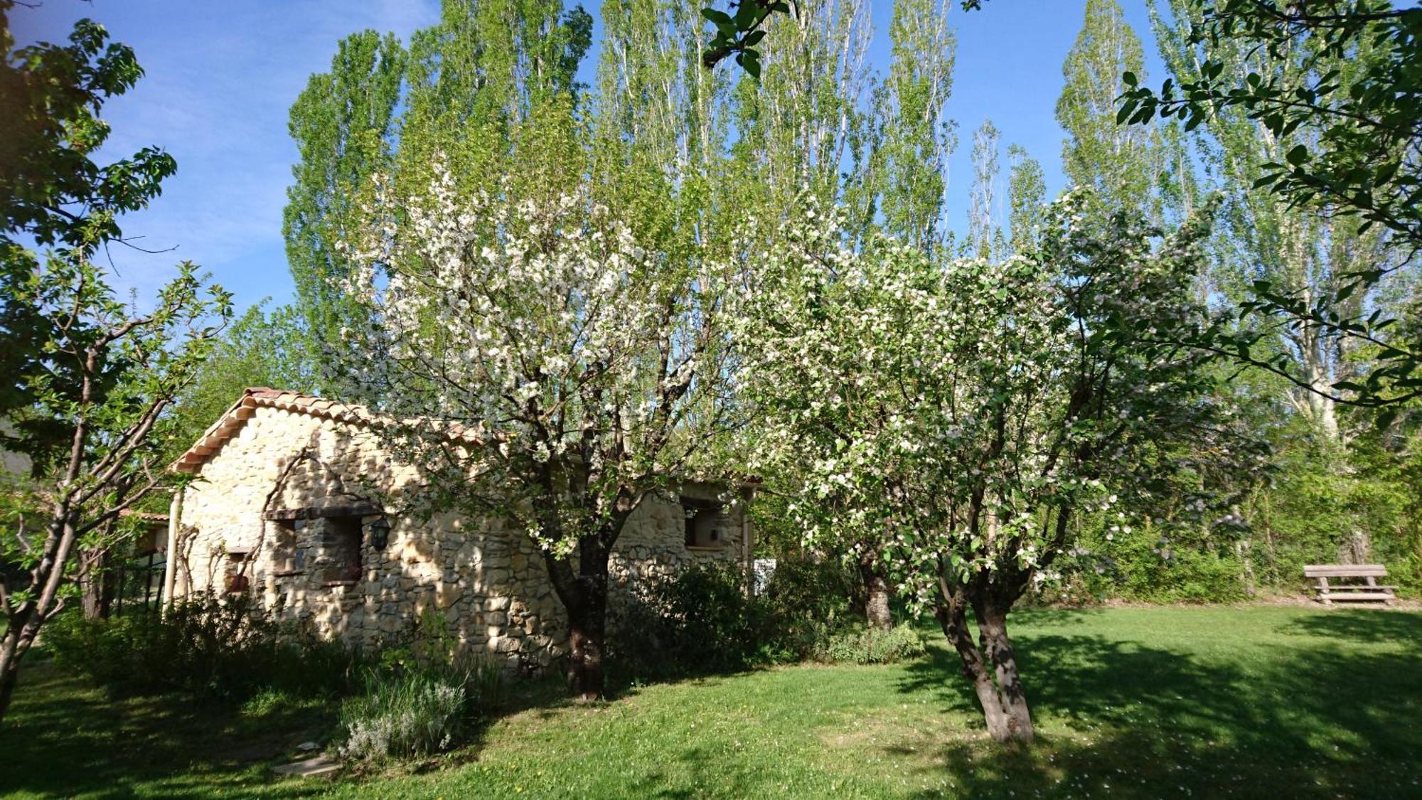 Les Maisons De Chante Oiseau Sigonce Værelse billede